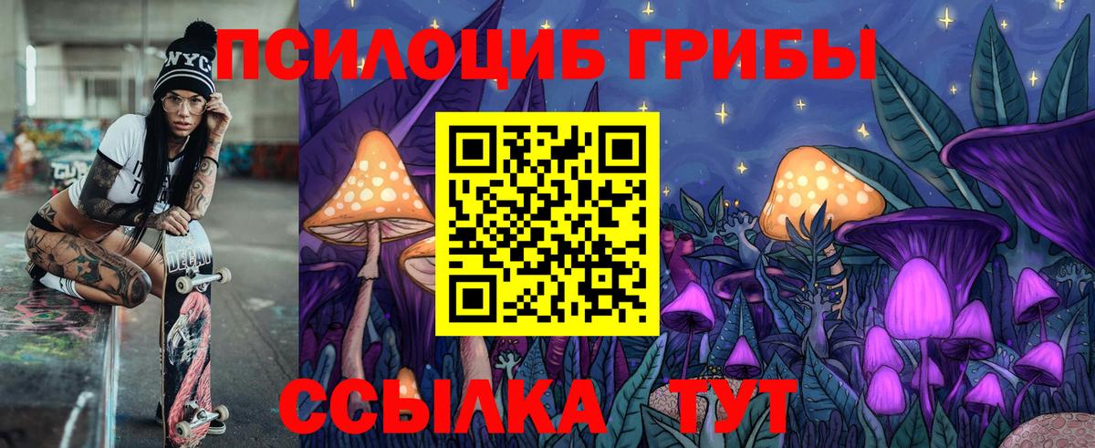 Ржев  Галлюциногенные грибы Psilocybine cubensis  Галлюциногенные грибы мицелий  Вход с VPN 