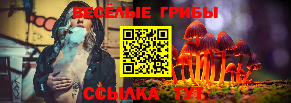 Галлюциногенные грибы Magic Shrooms Ржев